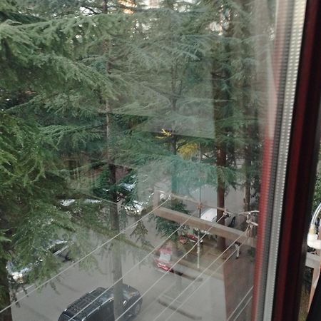 Apartment Ge Zvezda บาทูมิ ภายนอก รูปภาพ